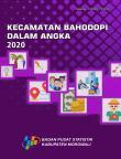 Kecamatan Bahodopi Dalam Angka 2020